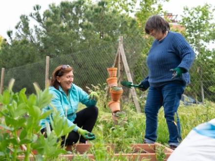 Cook County HOA lawyer